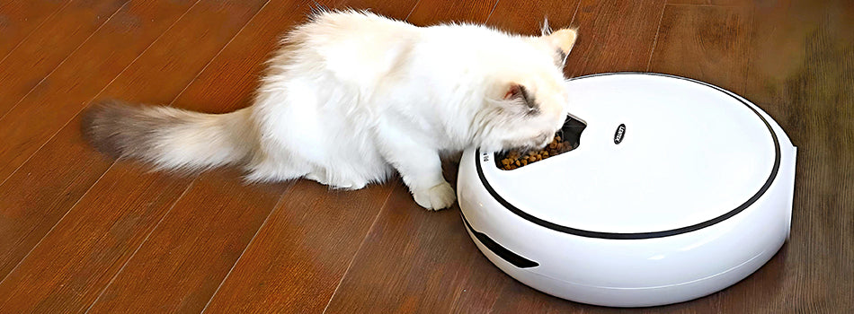 Cat eating food out of the Automatic Pet Dish dispenser
