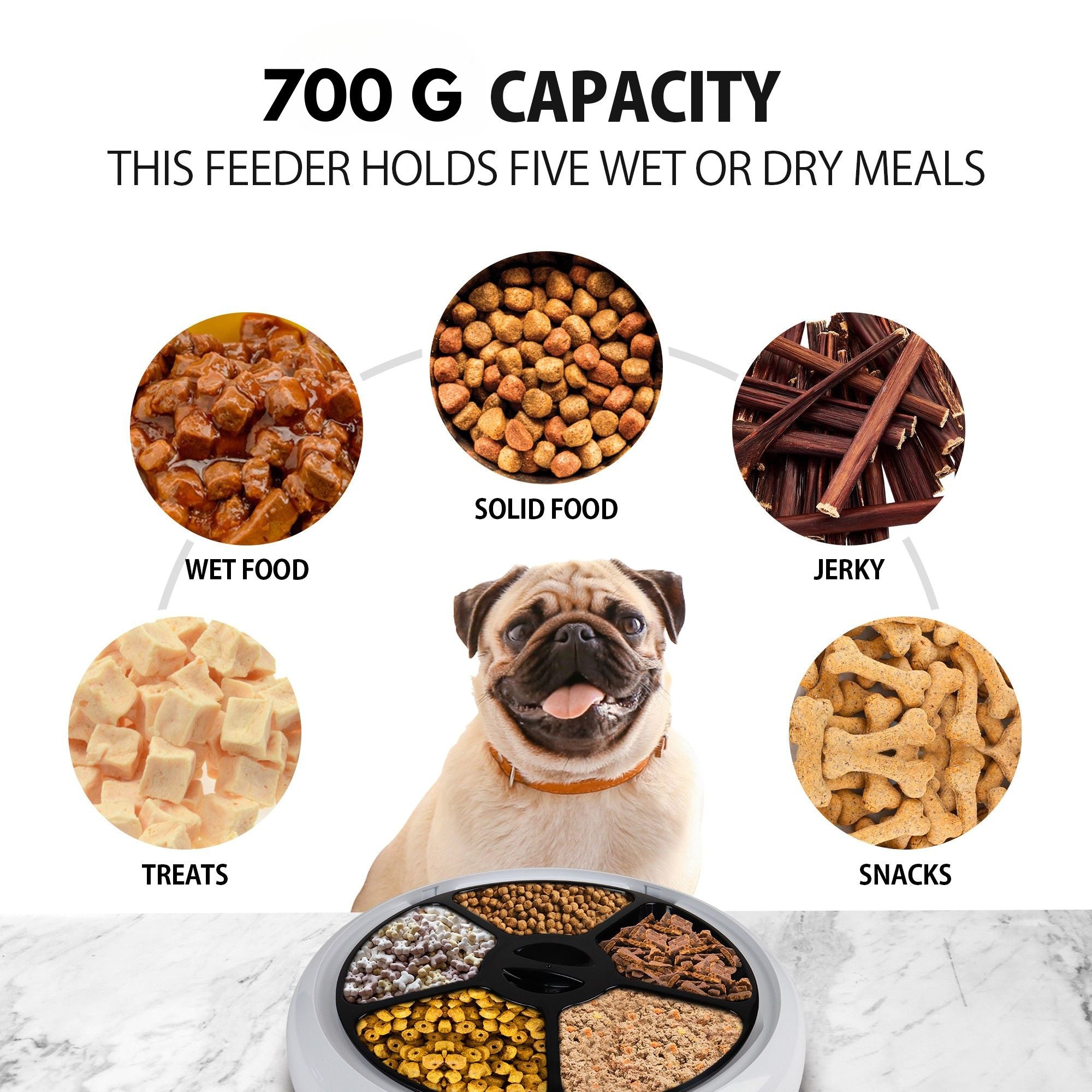 Lentek 5 Meal Automatic Pet Feeder, Timed Food Dispenser for Cat or Dog, 5 Compartments for Portion Control (White)