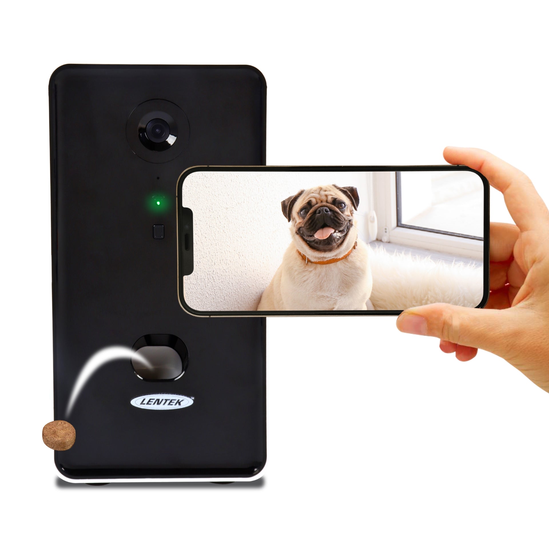 Pet Collar Pet Camera Kitty Cam Amazon Aurumbach Security Camera